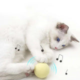 NEW GRAVITY BALL SMART TOUCH SQUEAK ENGAGING SOUND TOY FOR CATS - PS Café