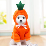 Dog Clothing: Cute, Comfortable and Photo Ready | Halloween Ready!