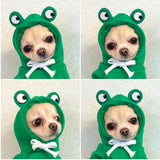 Froggy Friend Dog Hoodie, Cozy Knit Pullover Sweater for Small Dogs