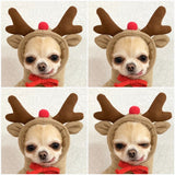 Dog Christmas Reindeer Themed Pet Hoodie for Small to Medium Dogs