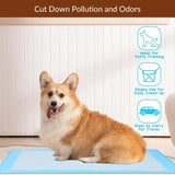 Puppy Pee Training Pads Super Absorbent & Leak-Proof | Disposable Pads for Puppies and Dogs