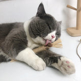 NATURAL SILVERVINE STICK CAT CHEW TOY